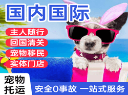 襄阳刘集航空空运国际宠物托运 【国